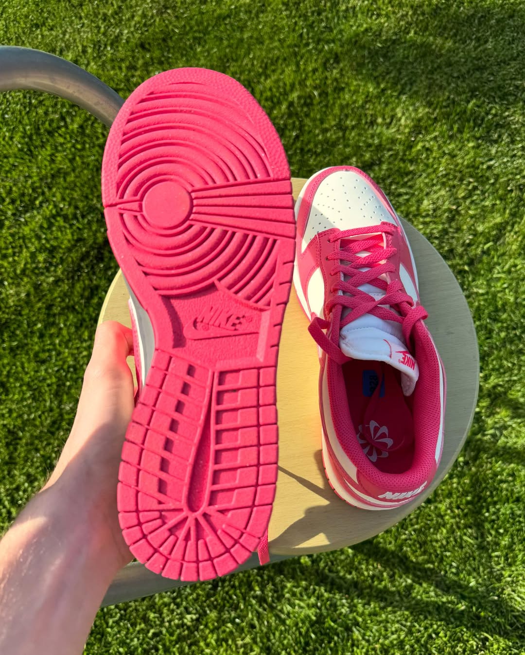 Nike Dunk low "Aster Pink"