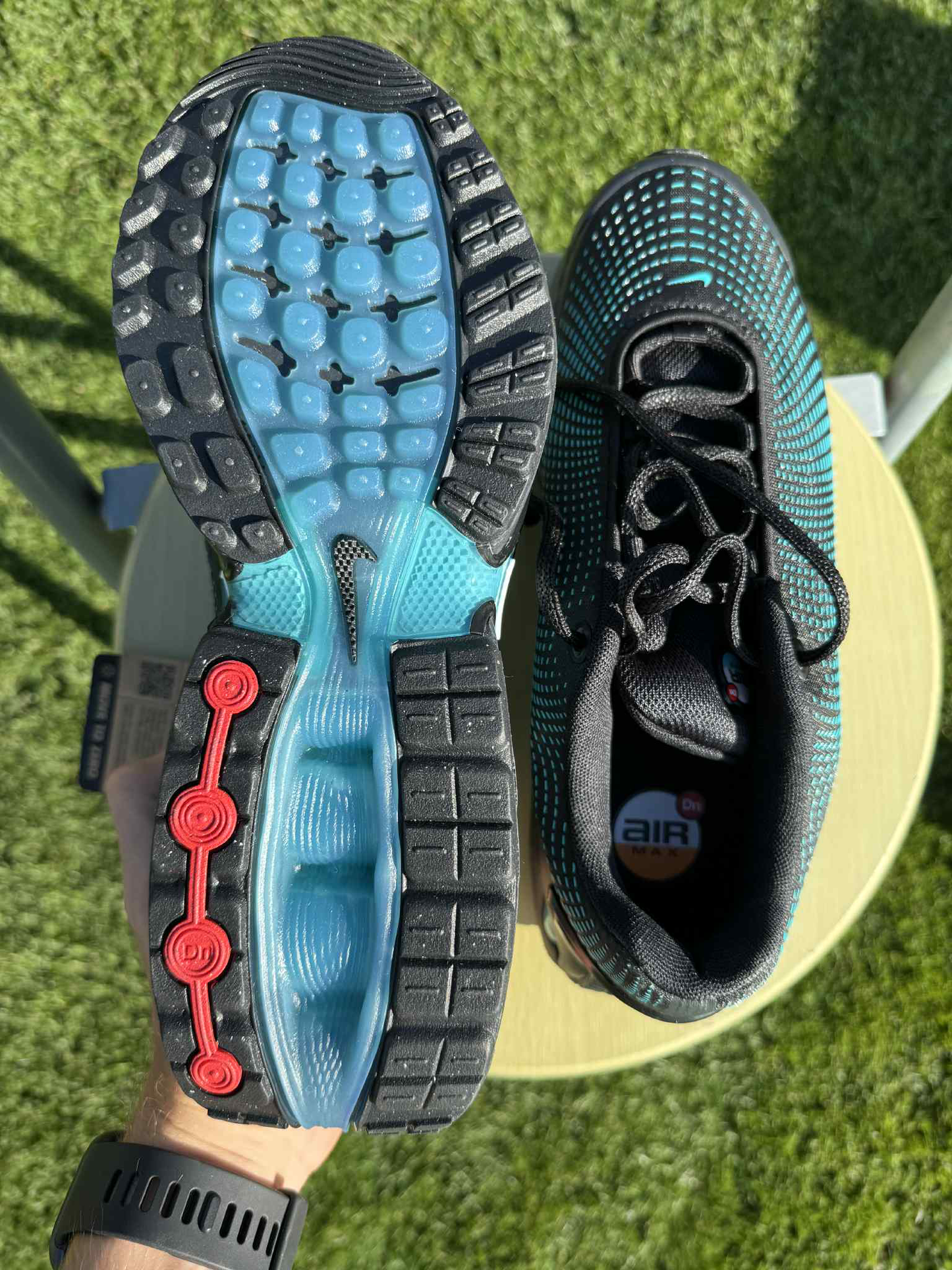 Nike Air Max DN Black "Dusty Cactus"