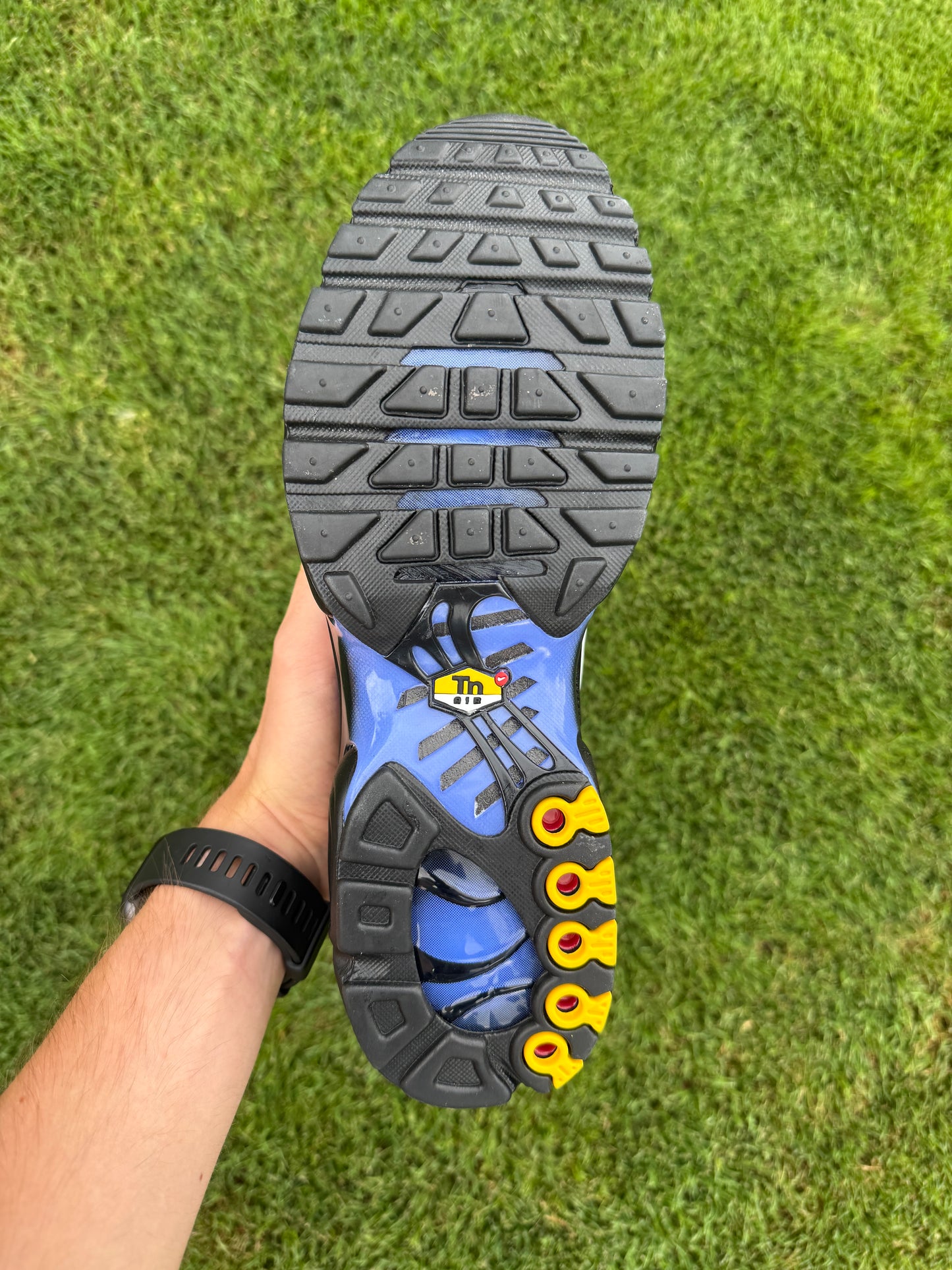 Nike Air Max plus "Sapphire"