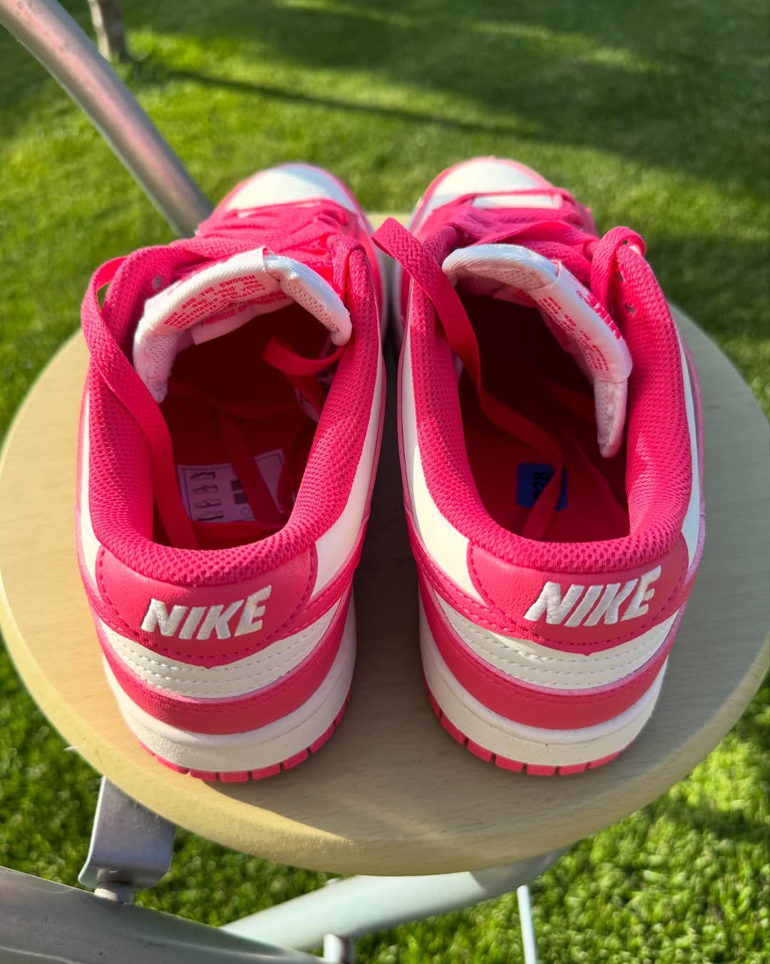 Nike Dunk low "Aster Pink"