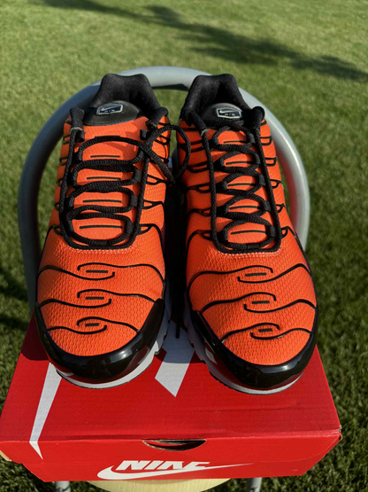 Nike Air Max Plus "Desert Sunset"