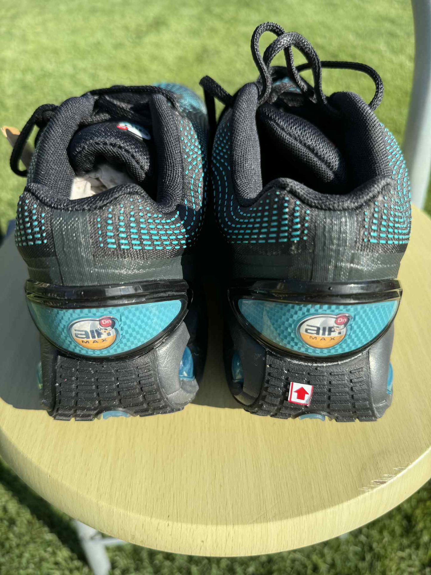 Nike Air Max DN Black "Dusty Cactus"