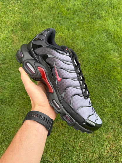 Nike Air Mas plus "Team Crimson"