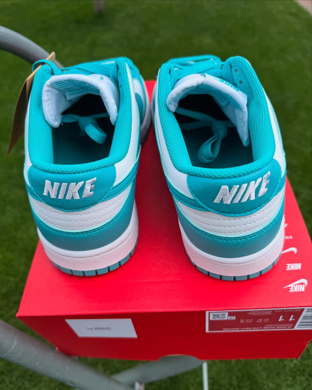 Nike Dunk Low 'Dusty Cactus'