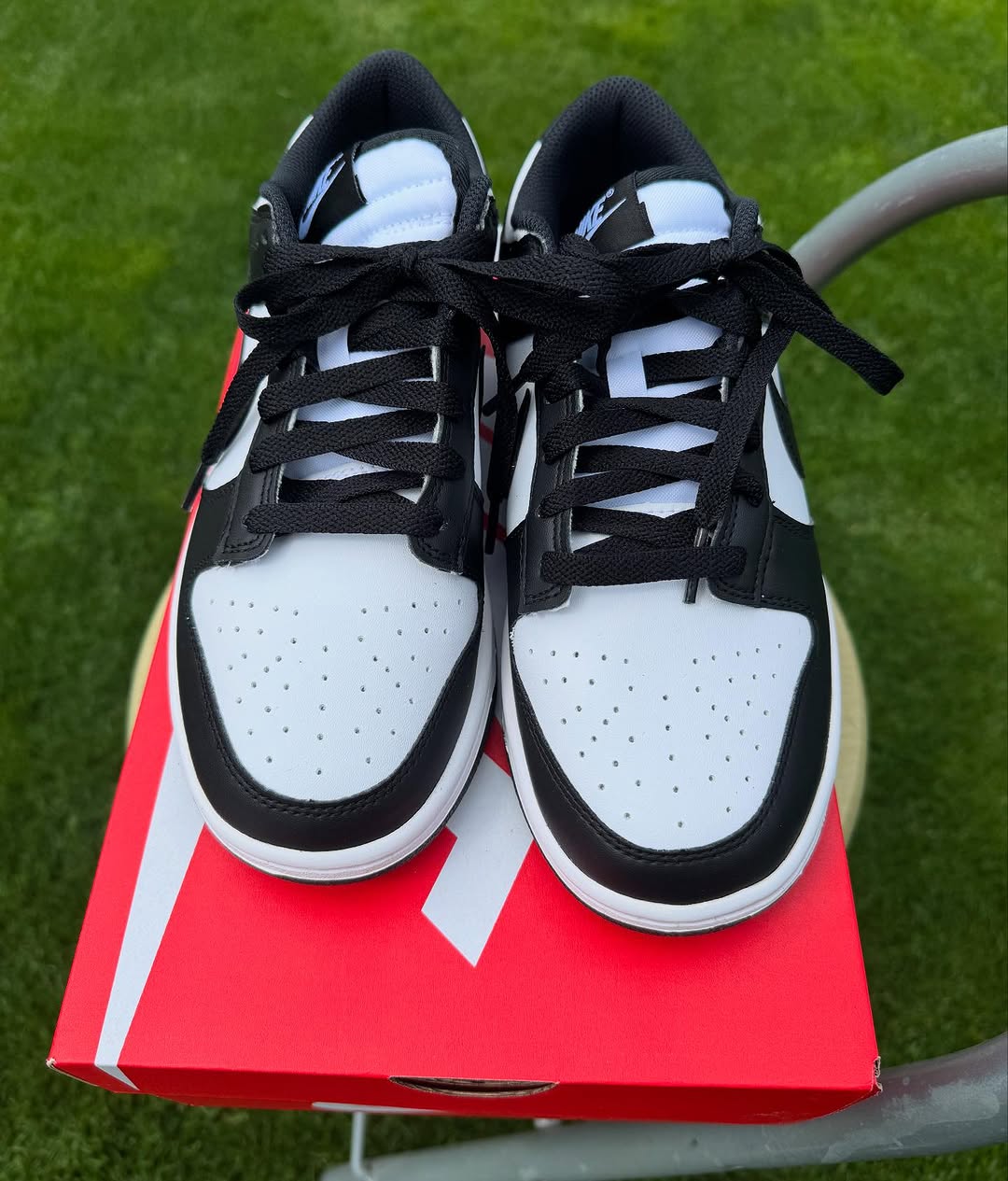 Nike Dunk Low 'Panda'