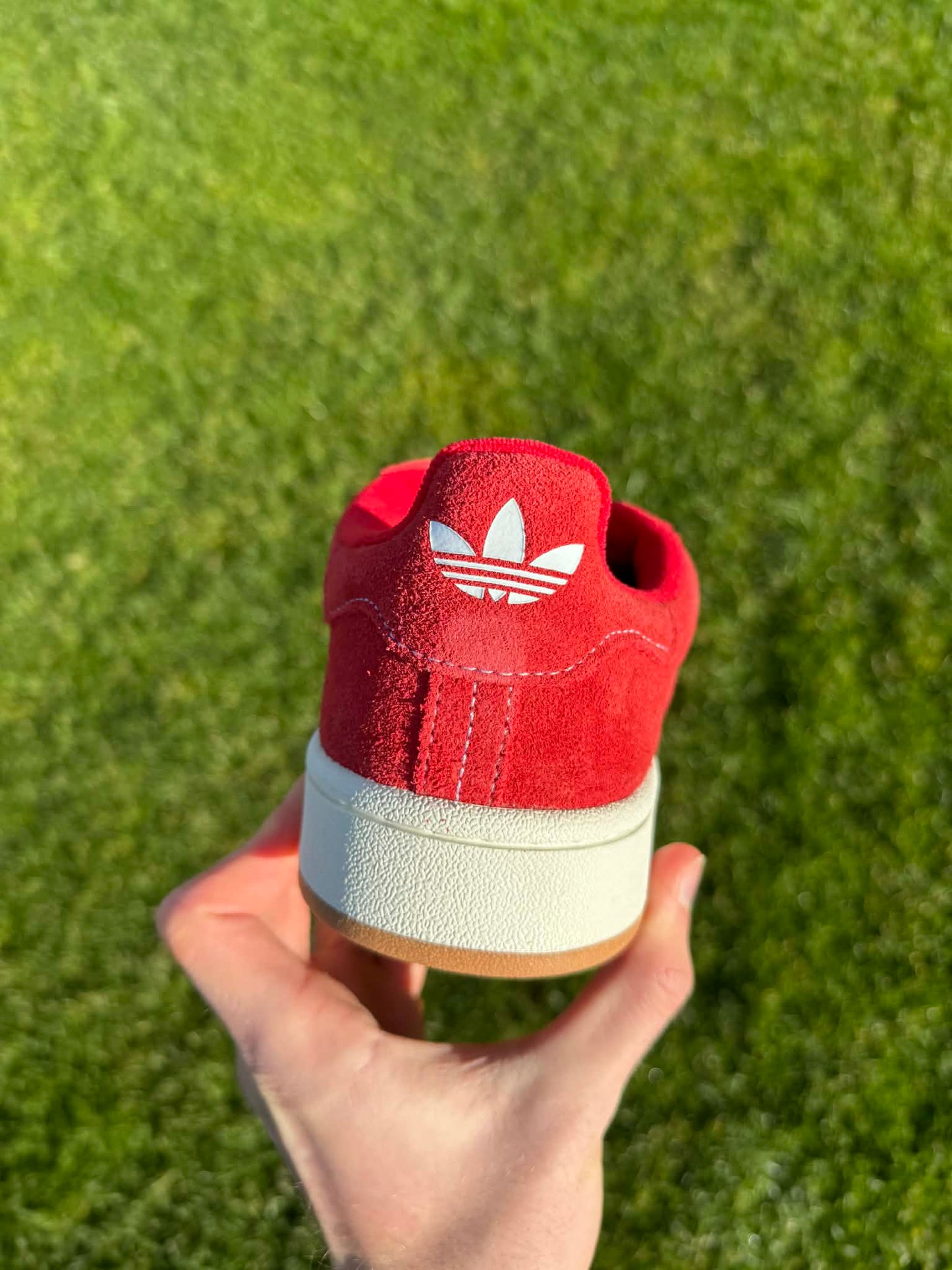 Adidas Campus "Scarlet"