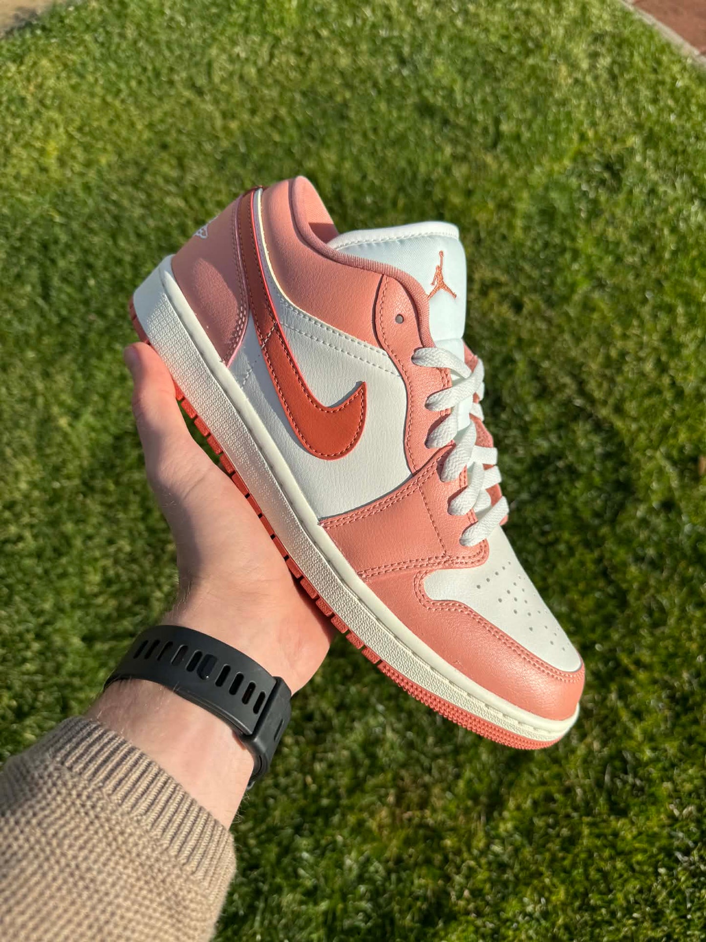 Jordan 1 low "Root"