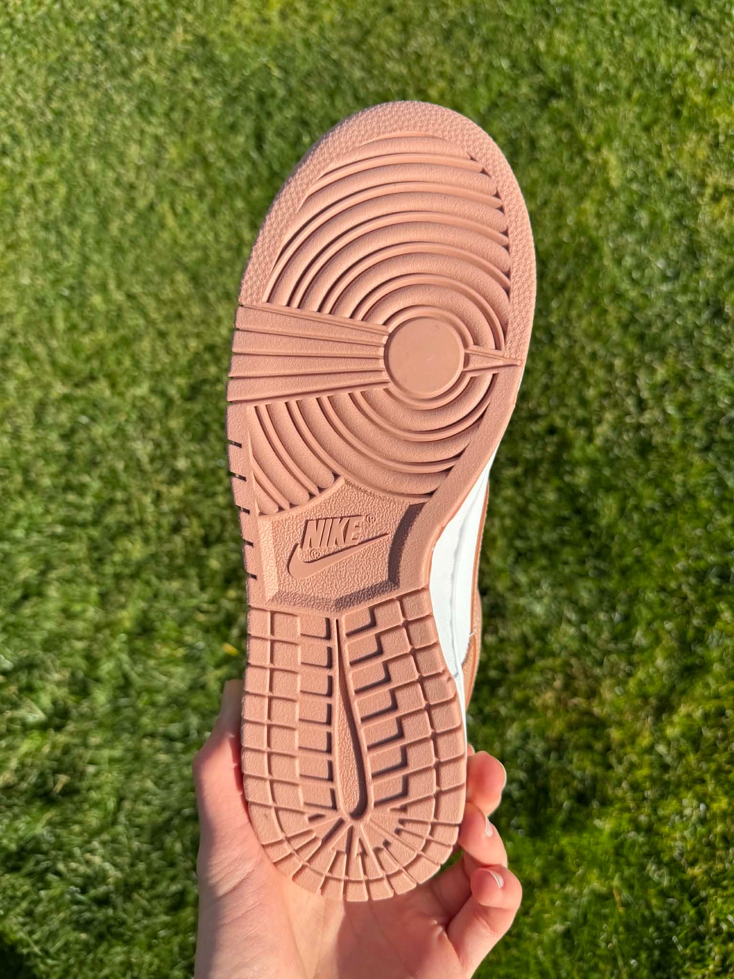 Jordan 1 low "Root"